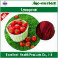 Lycopene natural tomato extract